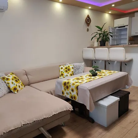 Apartment Newly Renovated 2 Bedroom In