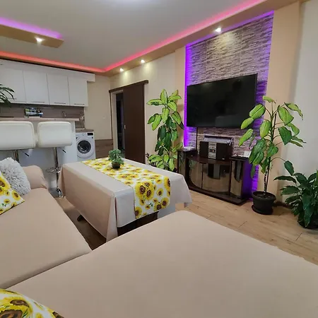 Newly Renovated 2 Bedroom In *