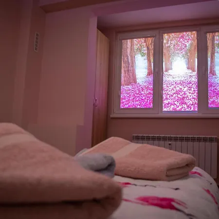 Newly Renovated 2 Bedroom In